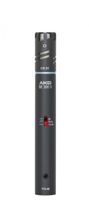 AKG C391B